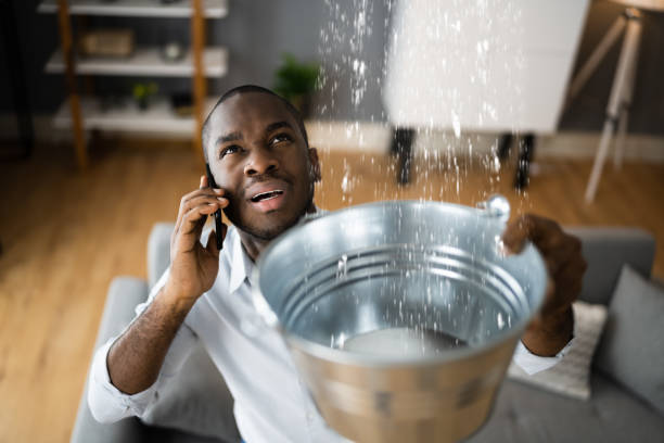 Best 24-hour water damage restoration  in Shinnston, WV
