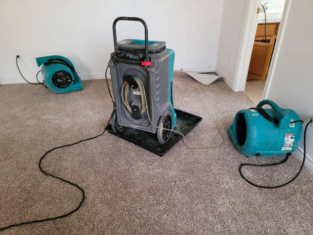 Best Emergency water damage restoration  in Shinnston, WV