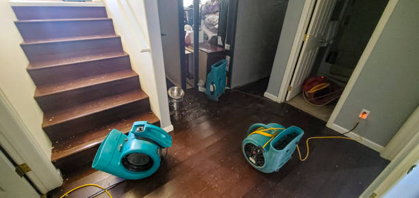 Best Water damage restoration near me  in Shinnston, WV