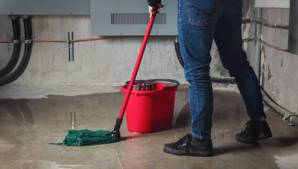 Best Basement water damage restoration  in Shinnston, WV