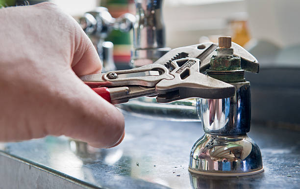 Best Local water damage restoration  in Shinnston, WV