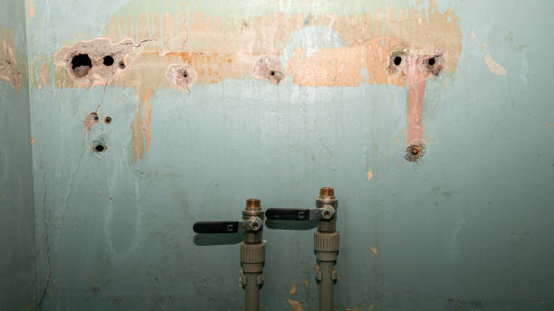 Best Emergency water extraction  in Shinnston, WV