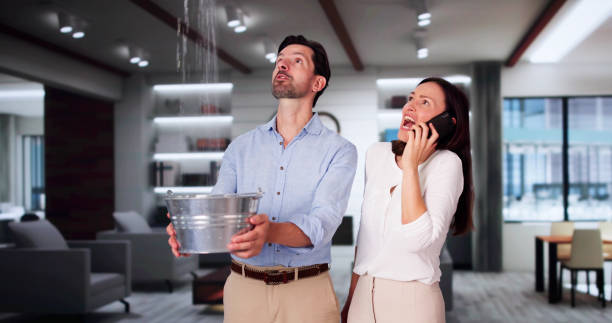 Best Water damage cleanup near me  in Shinnston, WV
